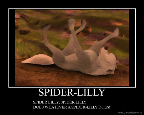  मकड़ी lilly