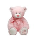 Teddy Bear (pink) - stuffed-animals photo