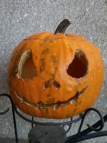 This is my pumpkin