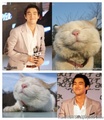 i see no difference~  - super-junior photo