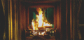 'The Girl in the Fireplace' - doctor-who photo
