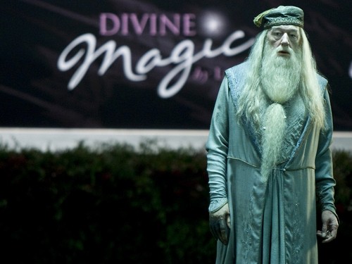  Albus Dumbledore پیپر وال