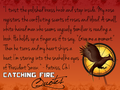 Catching Fire quotes 21-40 - the-hunger-games fan art