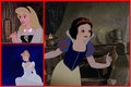 DP Collages - disney-princess photo