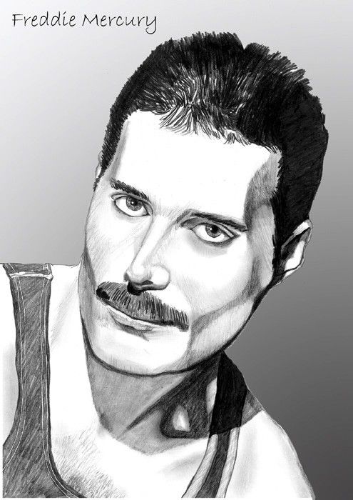 Freddie fan art - Freddie Mercury Fan Art (32773898) - Fanpop