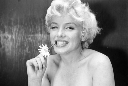  Marilyn фото