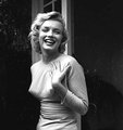 Marilyn Photo - marilyn-monroe photo