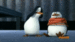 Marshmalloco - penguins-of-madagascar icon