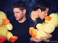 Misha & Jensen  - supernatural photo