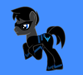 Nightwing pony!!! - young-justice-ocs photo