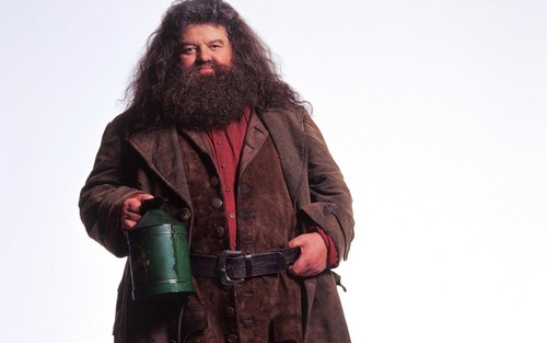  Rubeus Hagrid দেওয়ালপত্র