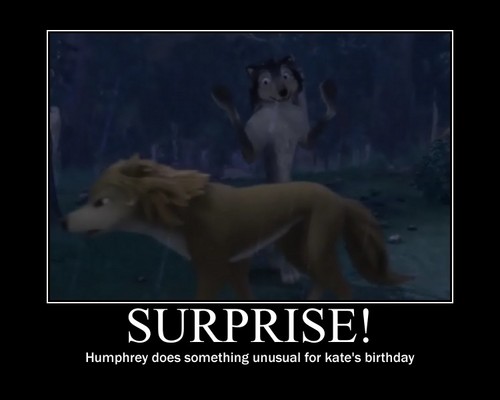  Surprise!