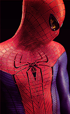  The Amazing Spider-Man