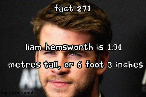  The Hunger Games facts 261-280