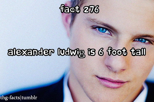  The Hunger Games facts 261-280