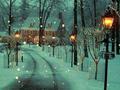 Winter Night - christmas photo