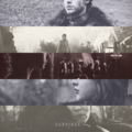 The lone wolf dies but the pack survives - game-of-thrones fan art