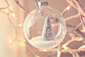 ★ Christmas favorites ☆  - christmas photo