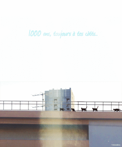  ♥SHINee 1000 years Always by Your Side~♥ MV
