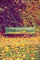 Autumn - autumn photo