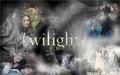 Bella & Edward - twilight-series photo