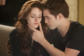 Bella & Edward - twilight-series photo