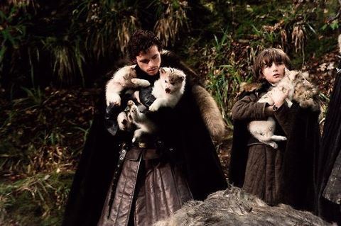  Bran & Robb