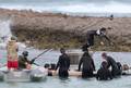 Catching Fire shooting in Hawaii - the-hunger-games-movie photo