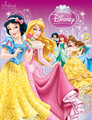 Disney Princesses - The New Design - disney-princess fan art