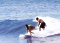 Jennifer Lawrence trying to surf in Hawaii - jennifer-lawrence photo