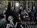 My Perfect Endgame  - the-vampire-diaries fan art