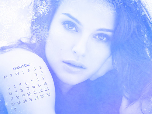 NP.COM Calendar - December