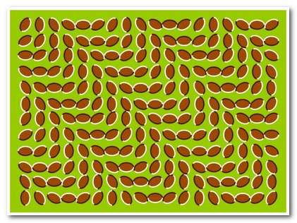  Optical illusions
