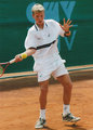 Small Tomas Berdych - tennis photo