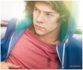 Take me home shoot - one-direction photo