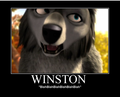 Winston - alpha-and-omega photo