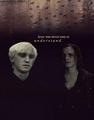 dramione. <3 - draco-malfoy-and-hermione-granger photo