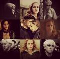 dramione. <3 - draco-malfoy-and-hermione-granger photo