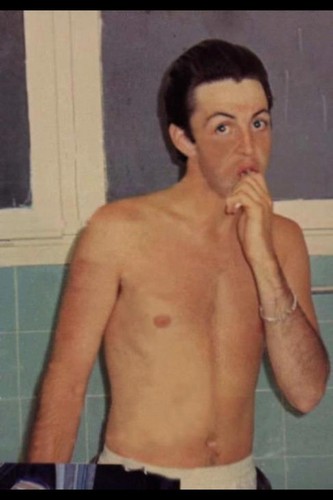 Paul McCartney Photo: paul mccartney hot.