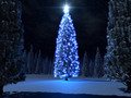 ★ Blue Christmas ☆ - christmas photo