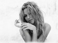 shakira -  Shakira wallpaper