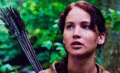 'The Hunger Games' - the-hunger-games photo