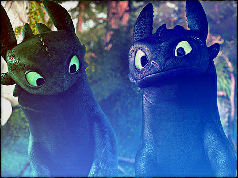 Featured image of post Wallpaper Toothless Alpha Here at hdwallpaper wiki you can download more than three million wallpaper collections uploaded by