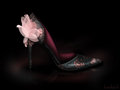 Aurora inspired shoe - disney-princess fan art