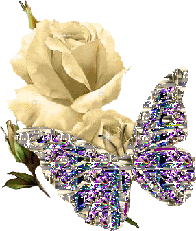 Beauty-for-my-Fairy-sister-yorkshire_rose-32977664-286-336.gif