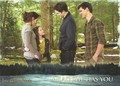 Breaking Dawn part 2 cards - twilight-series photo