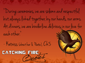 Catching Fire quotes 41-60 - the-hunger-games fan art