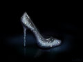 Cinderella inspired shoe - disney-princess fan art