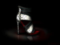 Cruella de Vil inspired shoe - disney-princess fan art