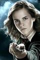 HP Characters - harry-potter photo
